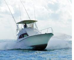 Key West Sport Fishing Aboard Mr. Z