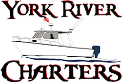 York River Charters