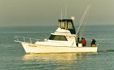 Billfish Sportfishing