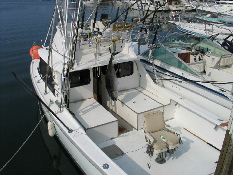 Block Island Sportfishing Charters