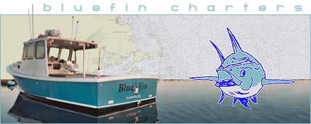 Bluefin Charters