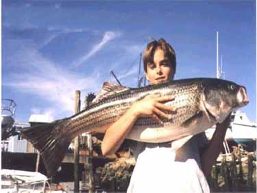 Coastal Fishing Charters