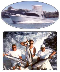 Knock Down Charters