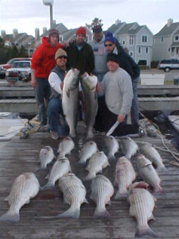 Marauder Sport Fishing Charters