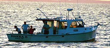 MARICA II Chesapeake Bay Charter Sportfishing