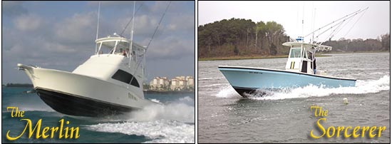 Merlin Sportfishing