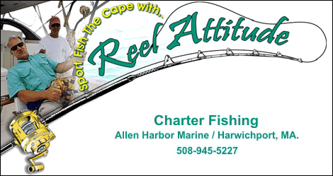Reel Attitude Charter Fishing