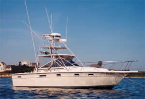 Reel Deal Charters