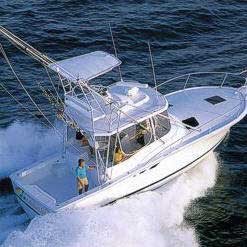 Reel Steal Fishing Charters