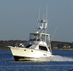 Sea Hawk Charters