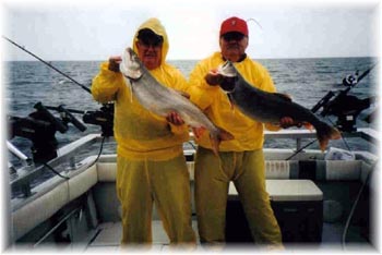 Sea Weed Charters