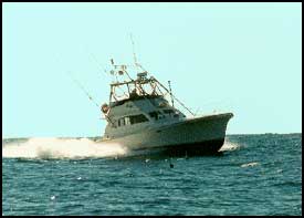 Sushi Hunter Sportfishing Charters