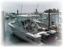 Temptation Sportfishing