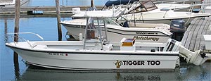 Tigger Too Charters